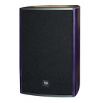 唐龍太極 T.D TAICHEE TF-710 10寸音響