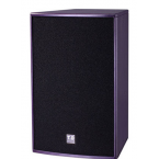 唐龍太極 T.D TAICHEE T-13 音響