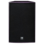 唐龍太極 T.D TAICHEE TX-655 15寸音響